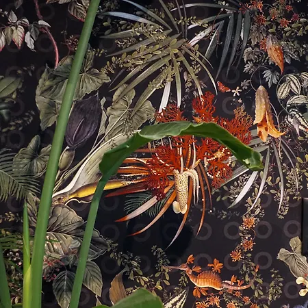 Hotel Cocoon Salzburg