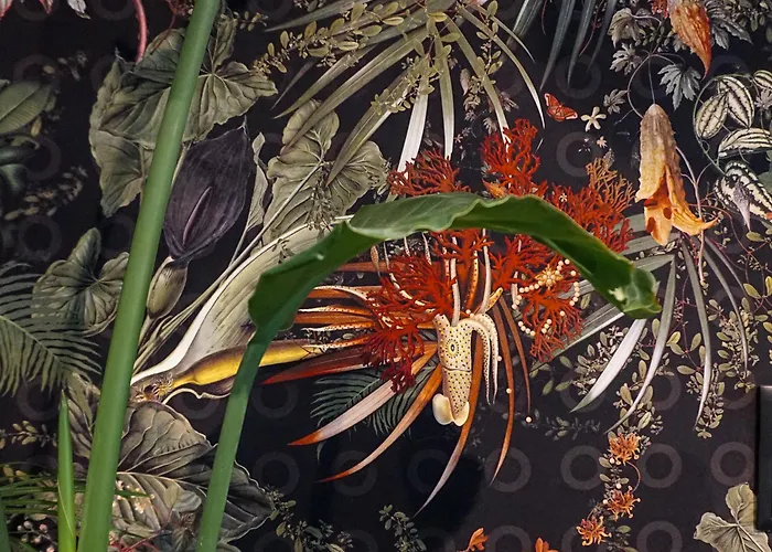 فندق Cocoon سالزبورغ