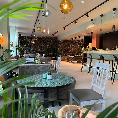 فندق Cocoon